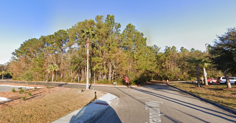 Tranquill Way, Flemington, GA for sale - Building Photo - Image 3 of 3