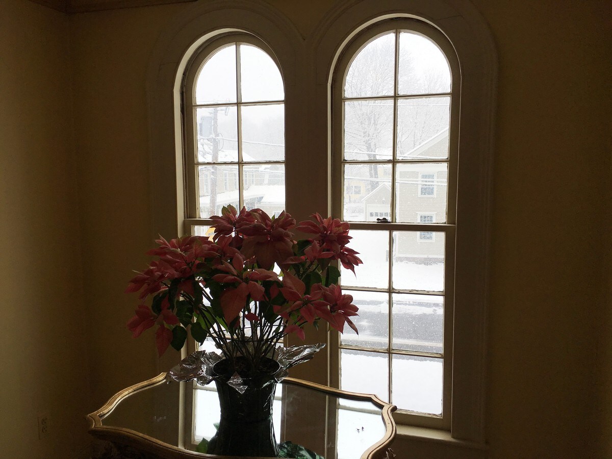 View Photo