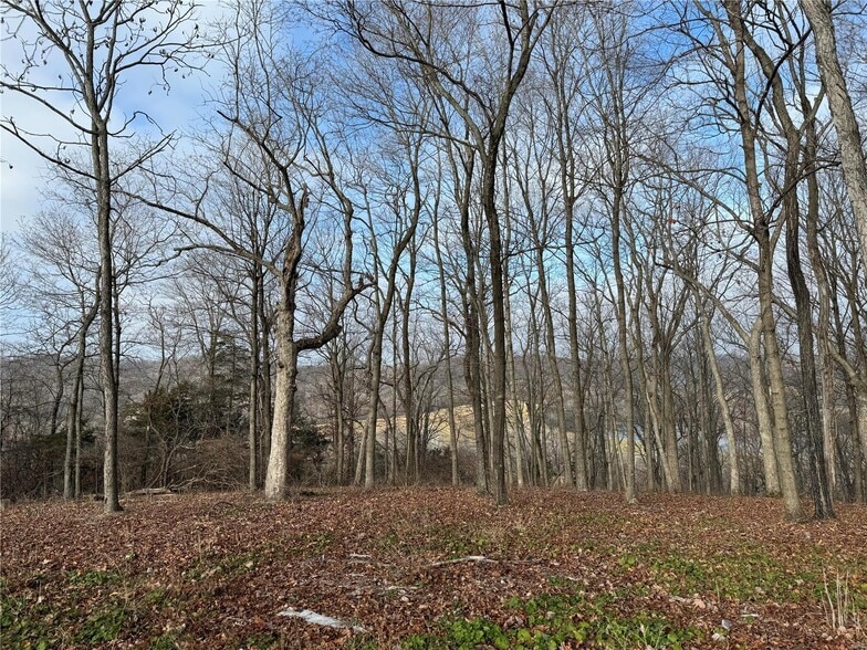 0 Schluersburg Rd, Augusta, MO for sale - Building Photo - Image 1 of 1