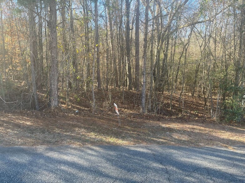 509 Spring run, Lizella, GA for sale - Building Photo - Image 3 of 7