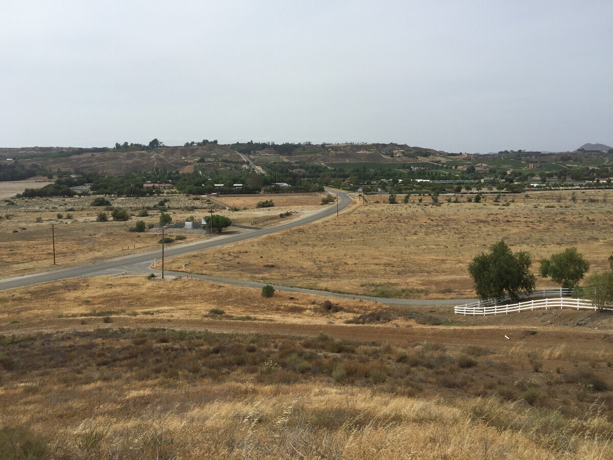 View Photo