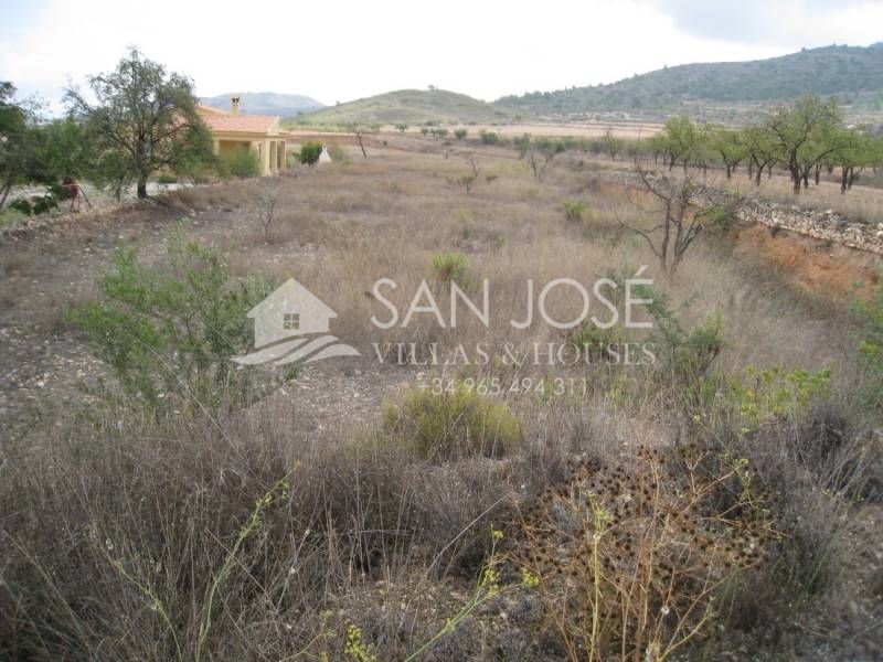 Land in Hondón de los Frailes for sale Building Photo- Image 1 of 4