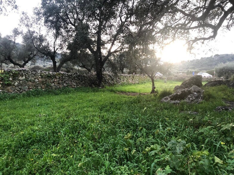 Land in Montánchez for sale - Building Photo - Image 2 of 13