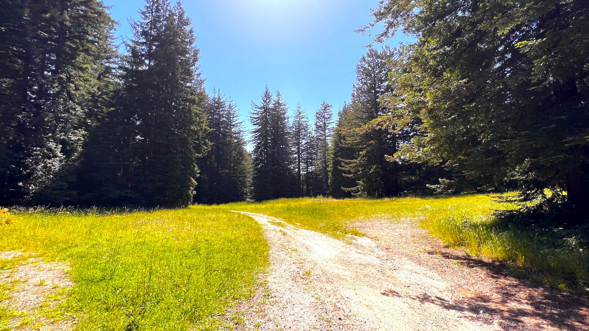 3675 Bonny Doon Rd, Santa Cruz, CA 95060 Bonny Doon Equestrian Park