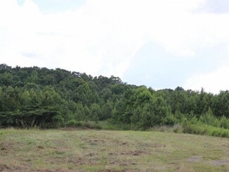 More details for 0 AL HWY 157, Cullman, AL - Land for Sale