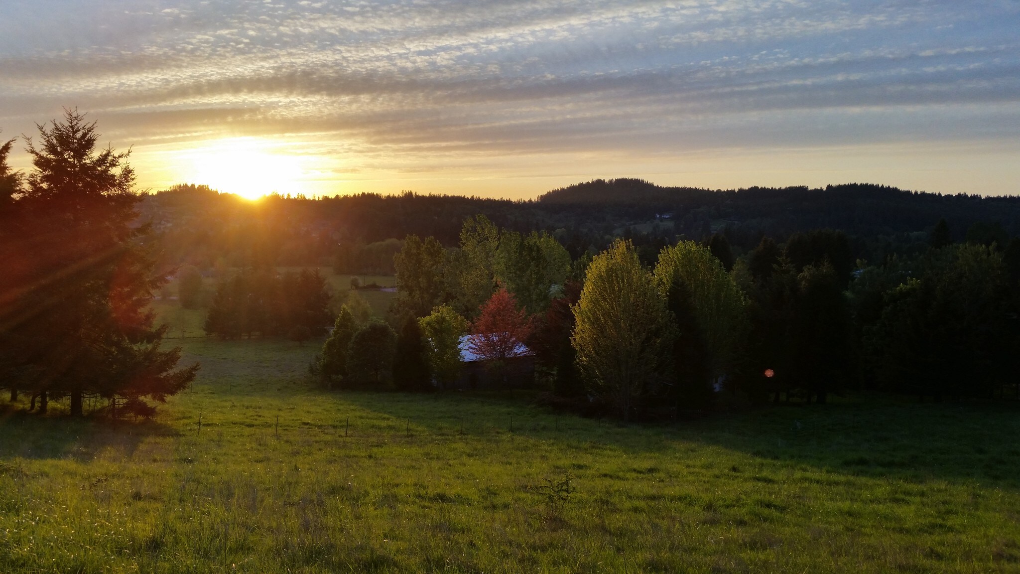 17750 SE Vogel Rd, Damascus, OR for sale Primary Photo- Image 1 of 1