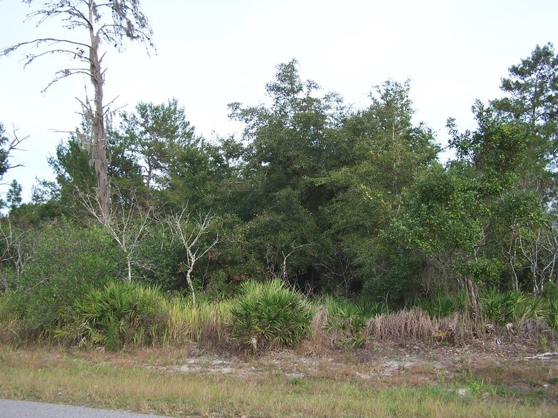 0 Batten Rd, Brooksville, FL 34602