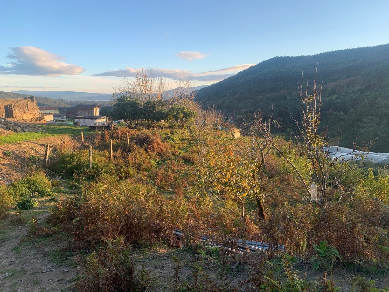 a Pedreira, 13, Tomiño, Pontevedra for sale Building Photo- Image 1 of 31