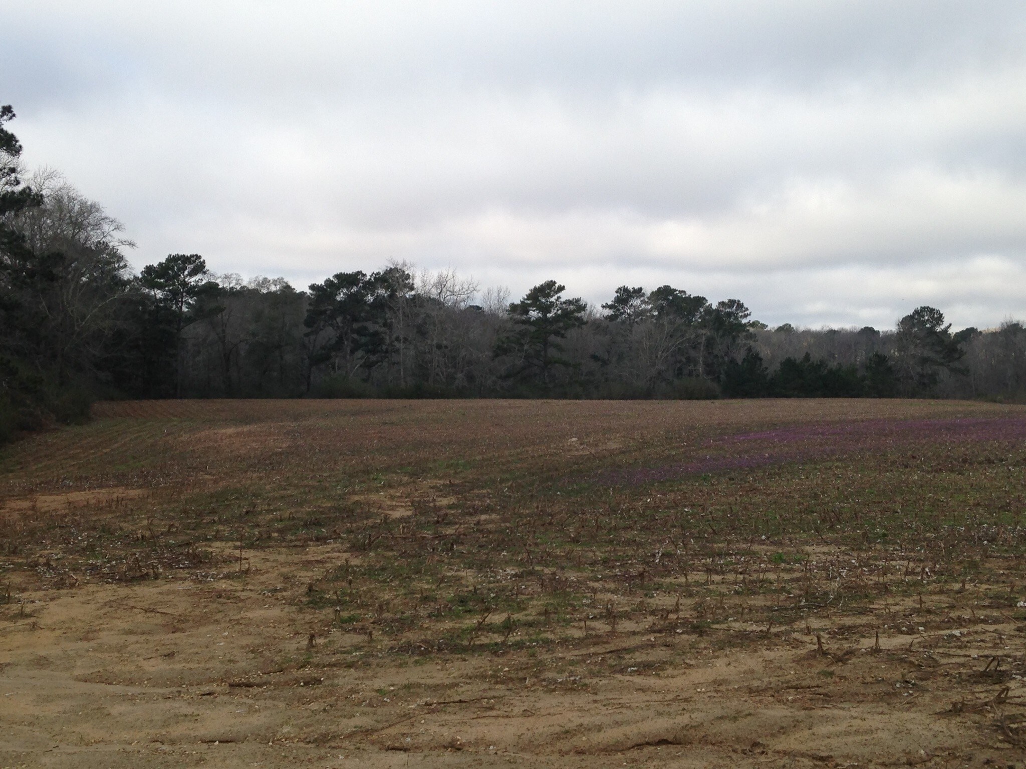 0 Trawick Rd, Dothan, AL for sale Primary Photo- Image 1 of 1