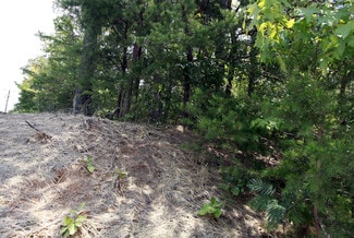 More details for Mine Rd & Greenspring Dr, Stafford, VA - Land for Lease