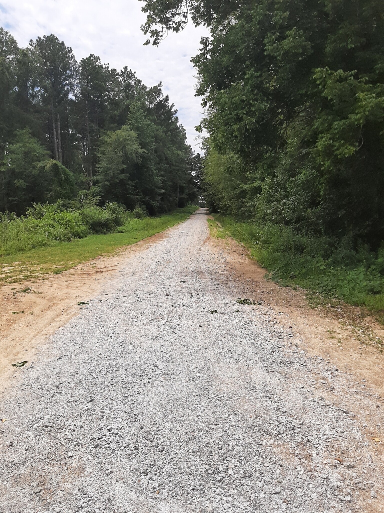 1201 Buffalo Lick rd, Union Point, GA for sale Primary Photo- Image 1 of 3