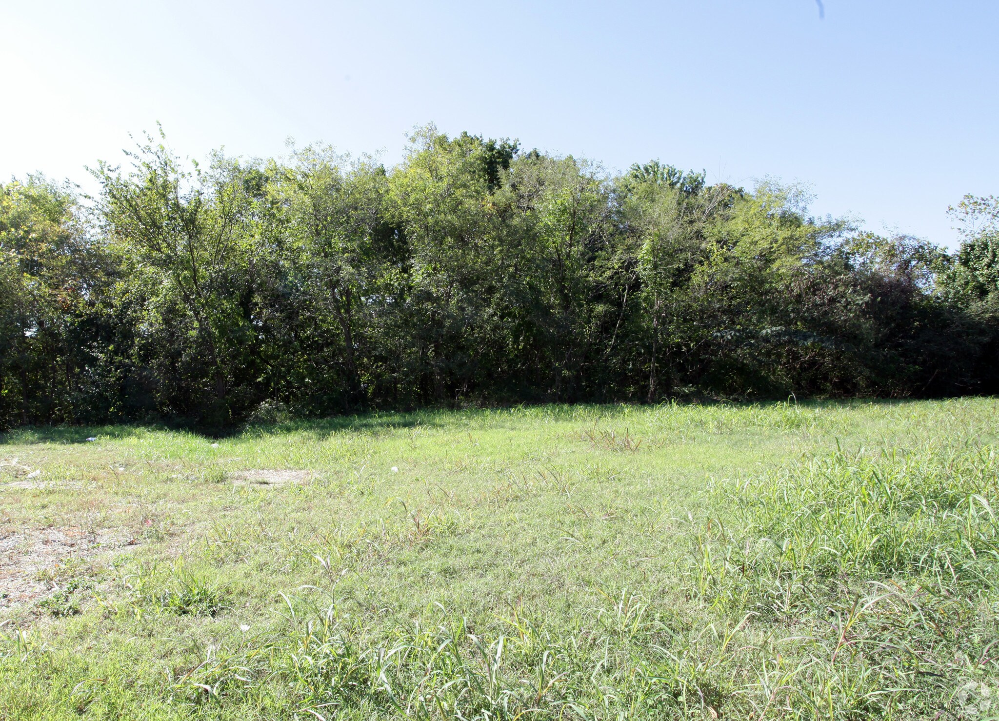 7795 Wolf Trail Cv, Germantown, TN for sale Primary Photo- Image 1 of 1