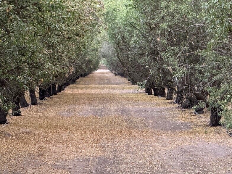 E. Keyes Rd, Denair, CA for sale - Other - Image 3 of 10