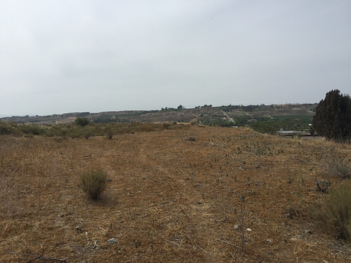 View Photo