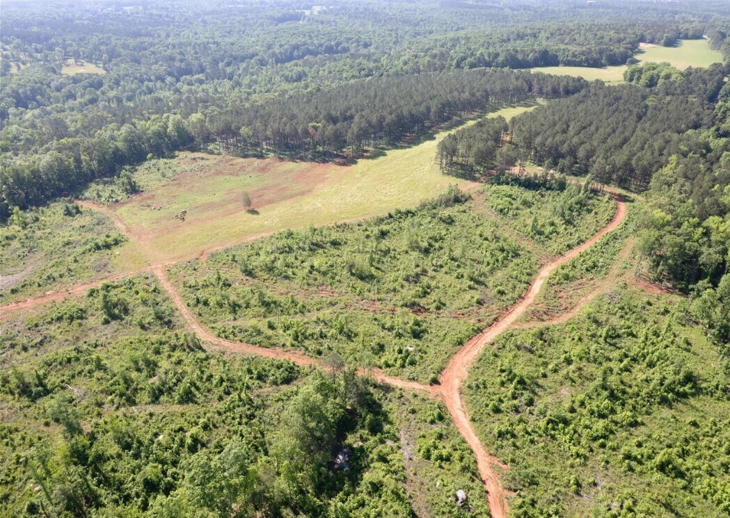 421 McMullen Rd, Forsyth, GA for sale Primary Photo- Image 1 of 1