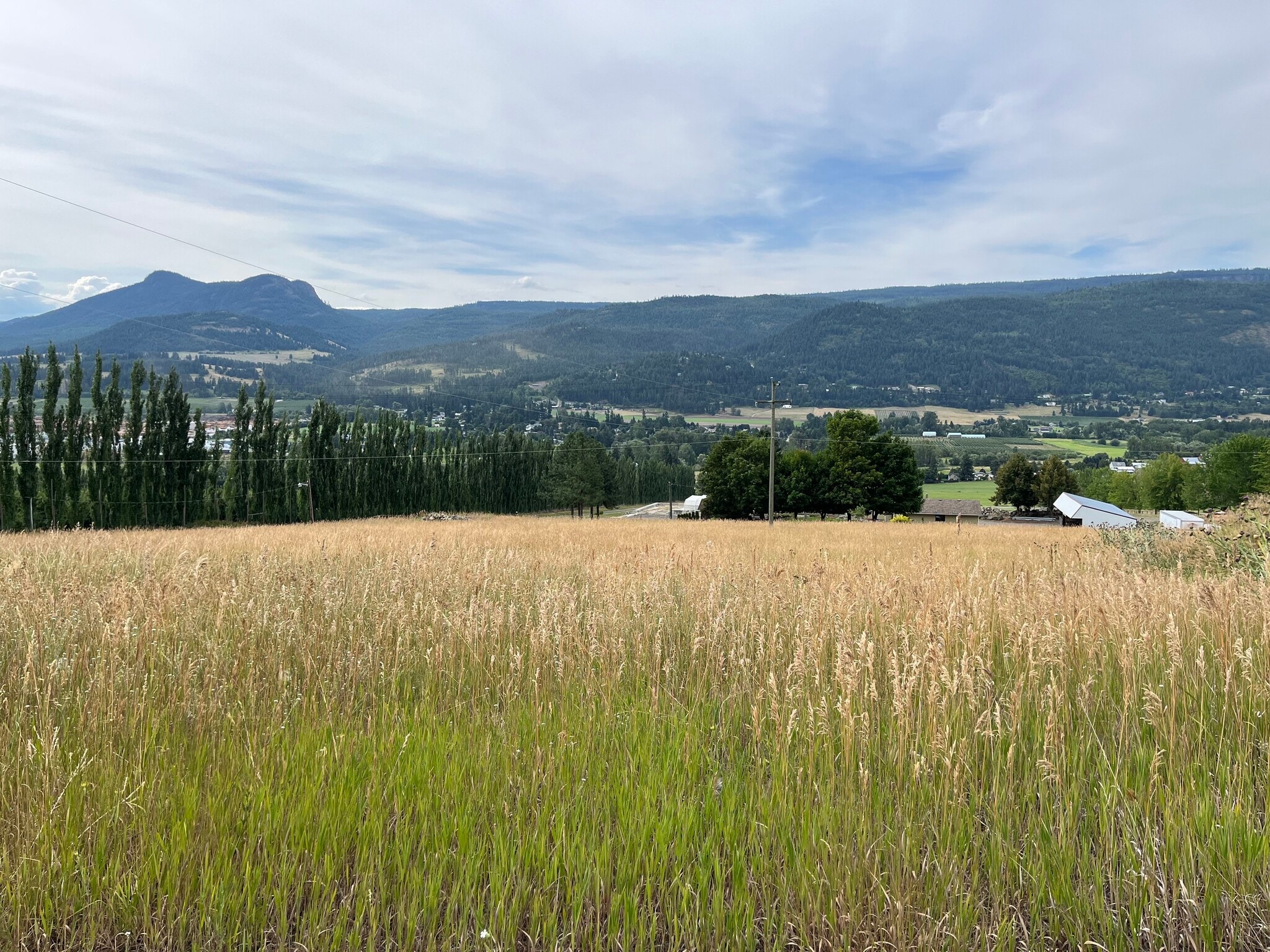 6615 Buchanan Rd, Coldstream, BC for lease Primary Photo- Image 1 of 4