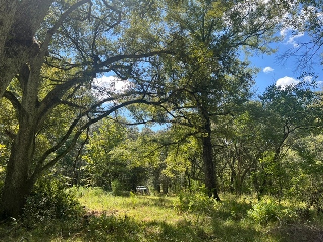122 Carl W Ln, Greensburg, LA for sale - Aerial - Image 2 of 3