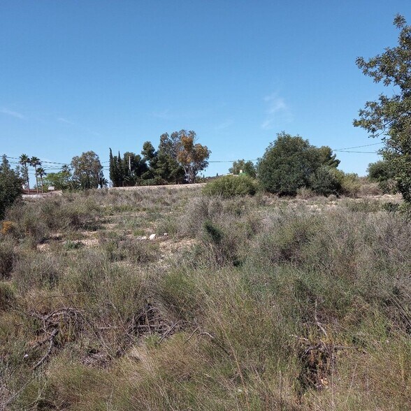 Land in Novelda for sale - Building Photo - Image 3 of 16