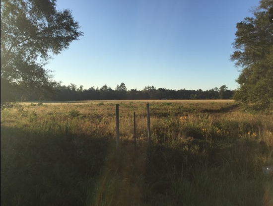 Airport Rd, Hammond, LA for sale - Primary Photo - Image 1 of 1