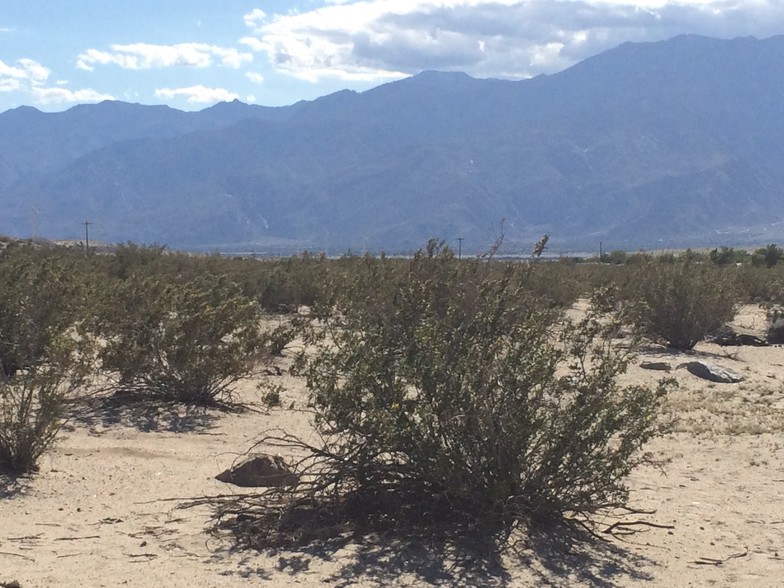 0 Langlois Rd, Desert Hot Springs, CA for sale - Primary Photo - Image 1 of 8