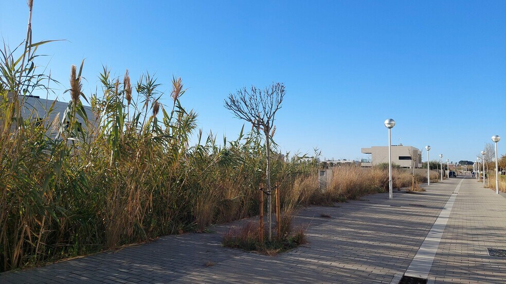 Barenys portfolio of 3 properties for sale on LoopNet.com - Building Photo - Image 3 of 3