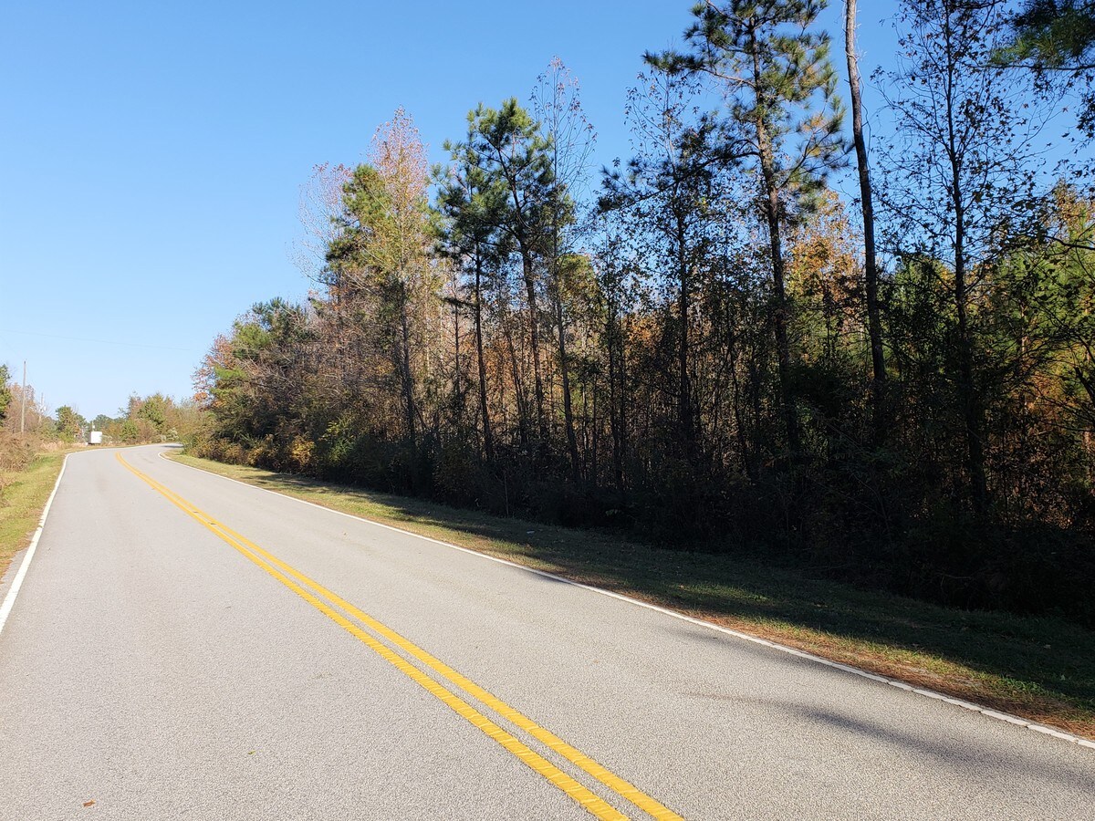 Old Stage Rd, Latta, SC 29565 Land for Sale
