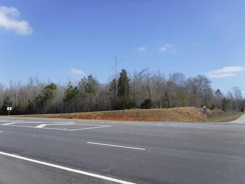 0 Old US Hwy 441, Nicholson, GA for sale - Building Photo - Image 1 of 1