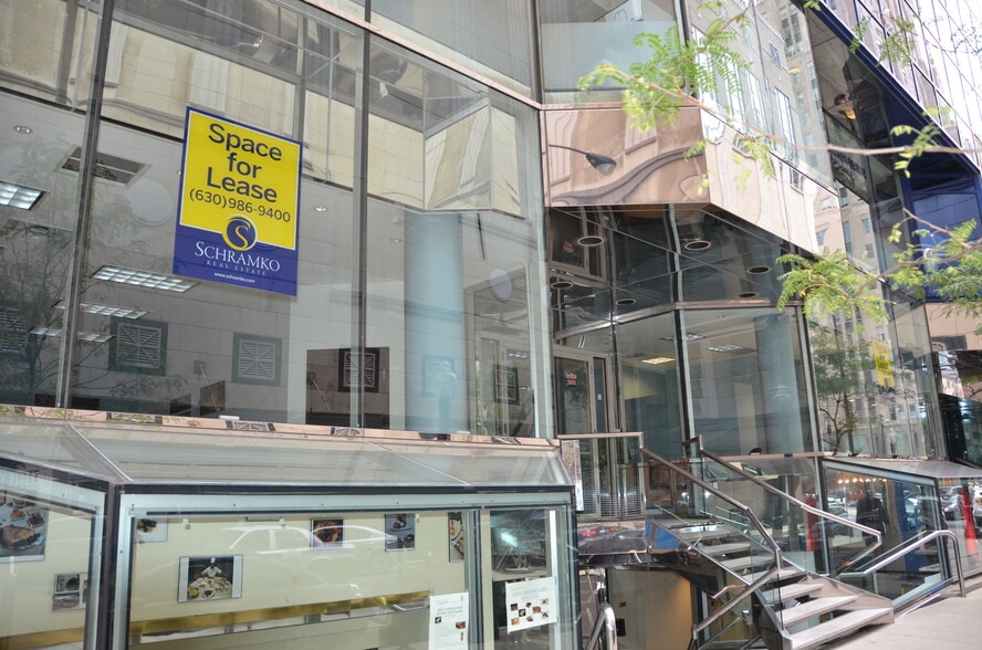 100 E Walton Pl, Chicago, IL for lease - Building Photo - Image 3 of 3