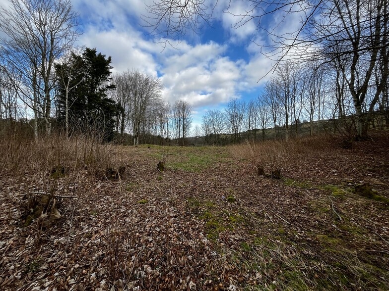 Parkdaill, Hawick for sale - Other - Image 2 of 3