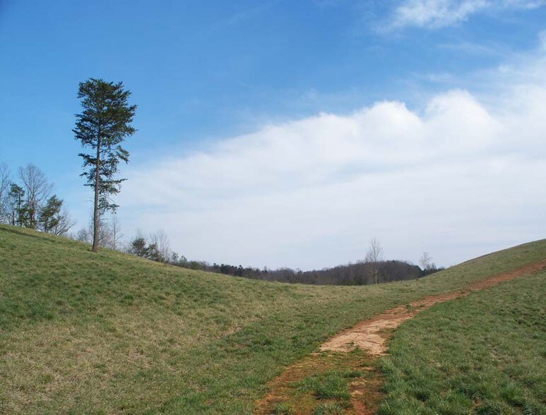 Crane Mill Rd, Alto, GA for sale - Primary Photo - Image 1 of 1