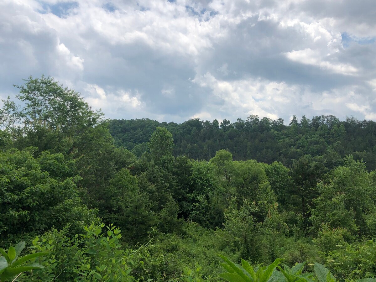 View Photo
