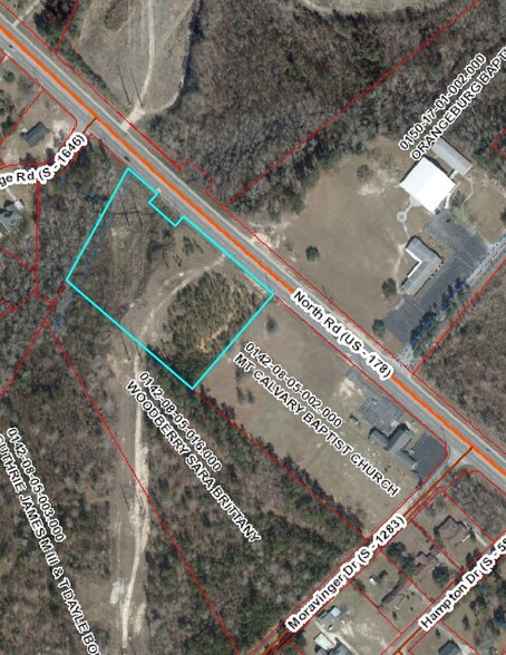 North Road, Orangeburg, SC for sale - Primary Photo - Image 1 of 4