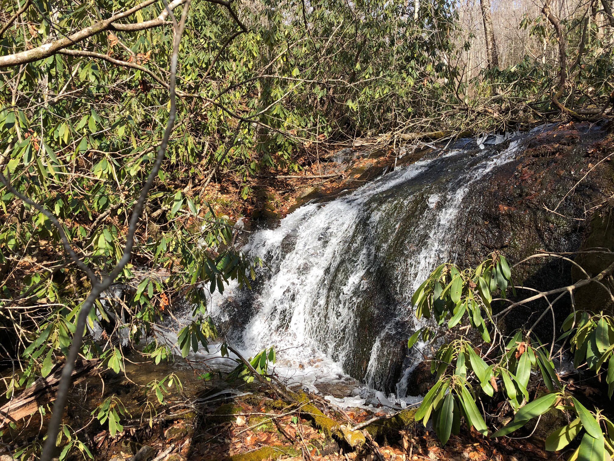 Tbd Branch Falls Trl, Sylva, NC 28779