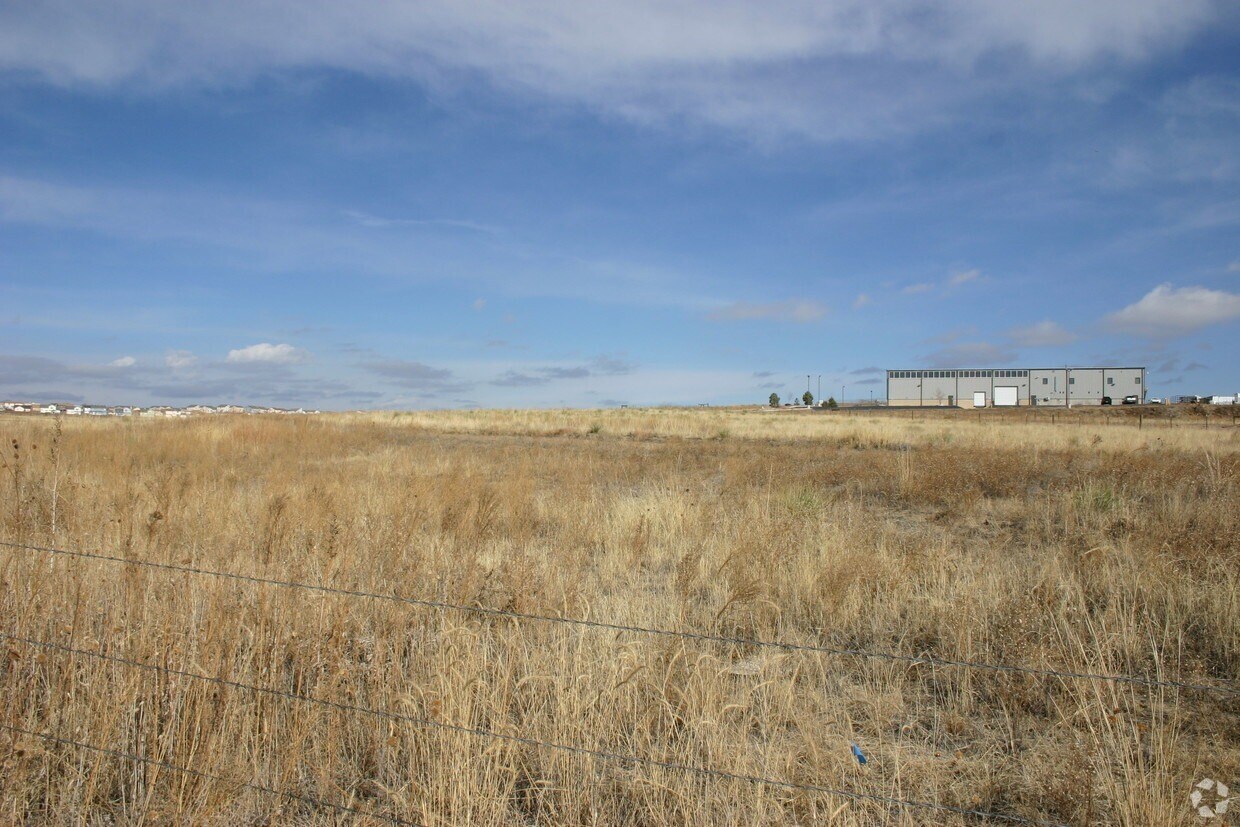 Primary Photo