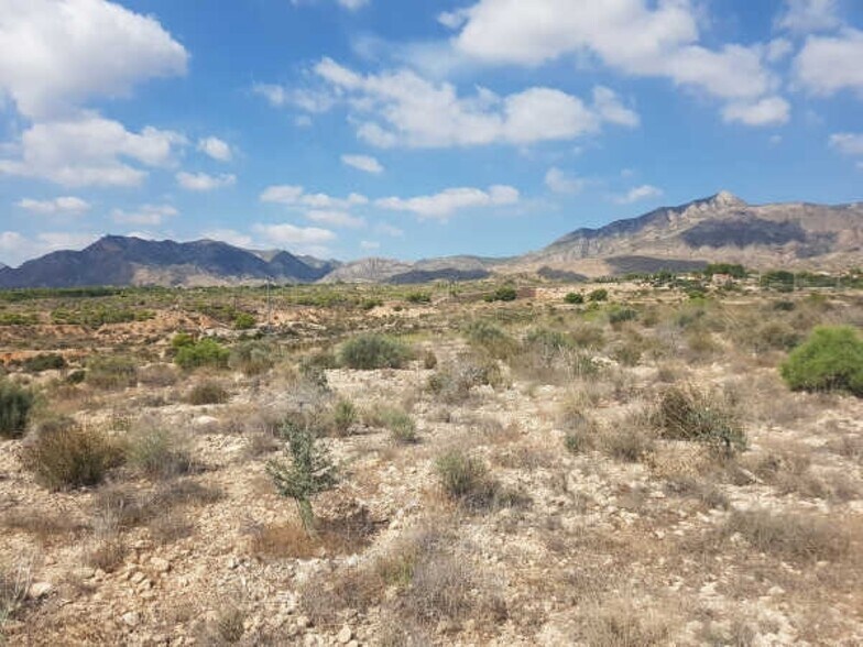 Land in Albatera for sale - Building Photo - Image 2 of 17