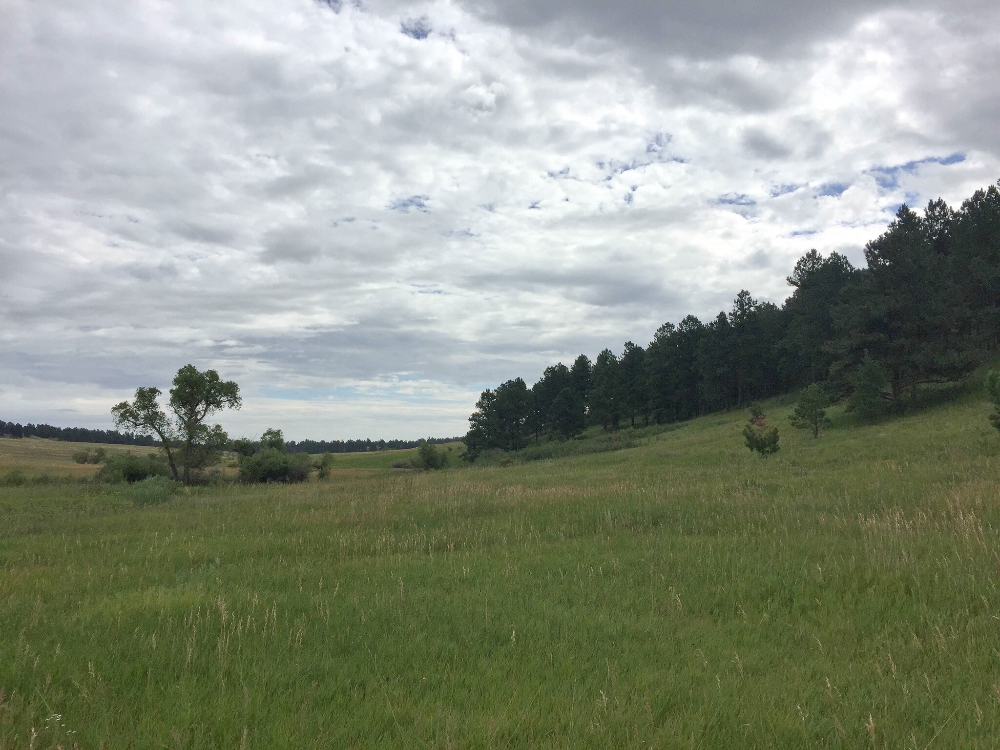 County Line Rd, Elbert, CO for sale Building Photo- Image 1 of 1