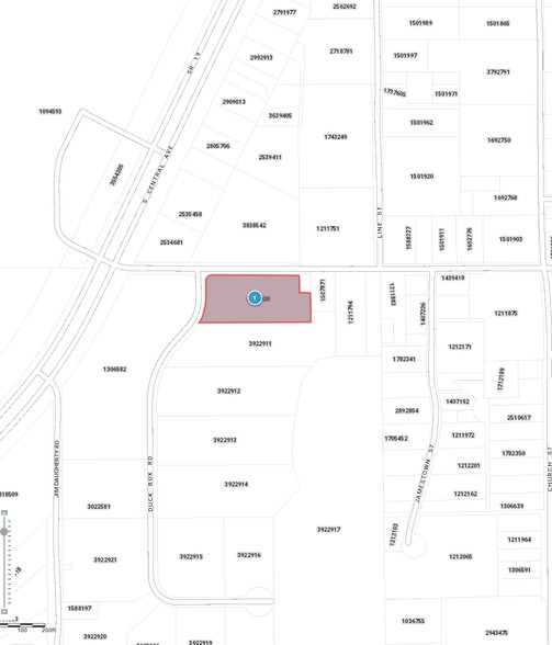 930 Duck Box Rd, Umatilla, FL for sale - Plat Map - Image 1 of 1