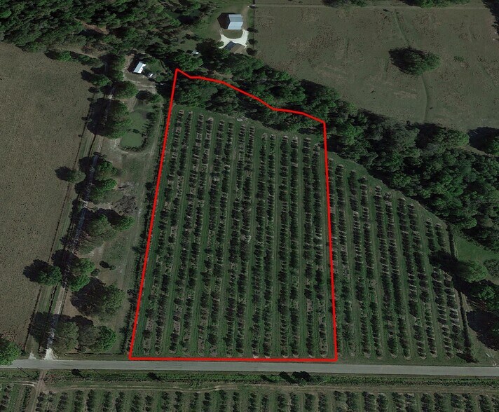 SE Piggy Back Rd, Arcadia, FL for sale - Aerial - Image 1 of 1