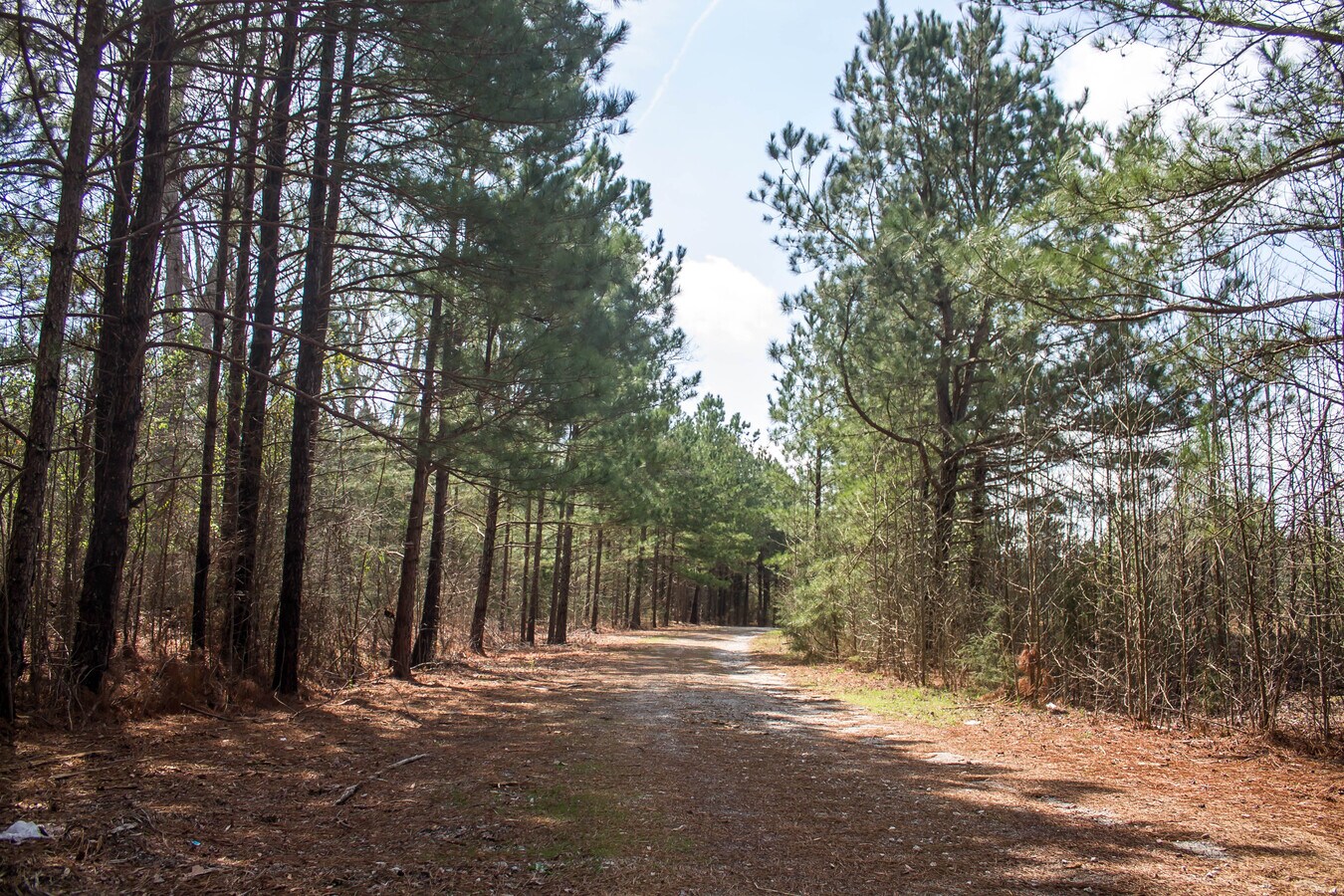 0 Hampton Woods, Clinton, SC 29325