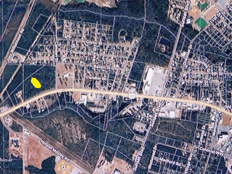 86-34 INC U. S. Highway 84, Jesup, GA for sale - Building Photo - Image 3 of 5