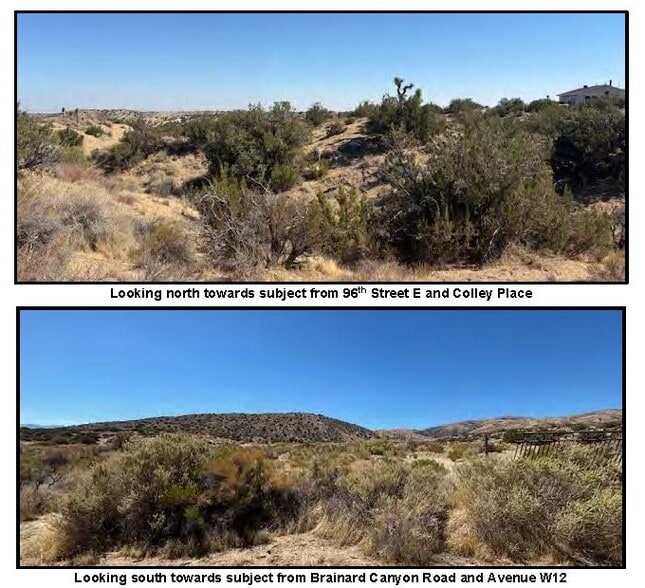 Brainard Canyon Rd, Palmdale, CA for sale - Building Photo - Image 3 of 5
