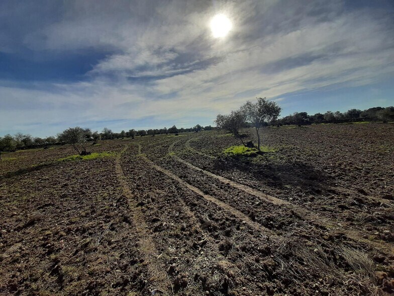 Land in Cáceres for sale - Building Photo - Image 3 of 13