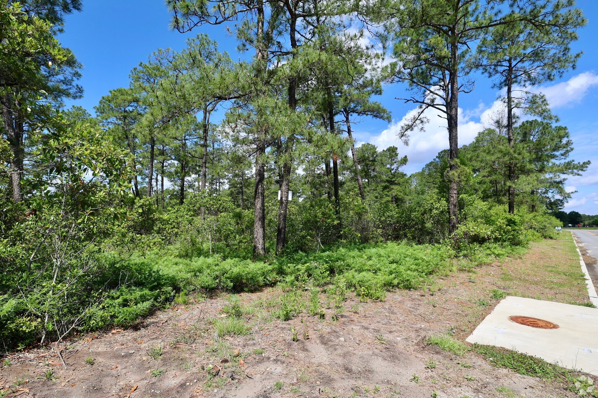 Myrtle Ridge Rd, Conway, SC for sale Building Photo- Image 1 of 1