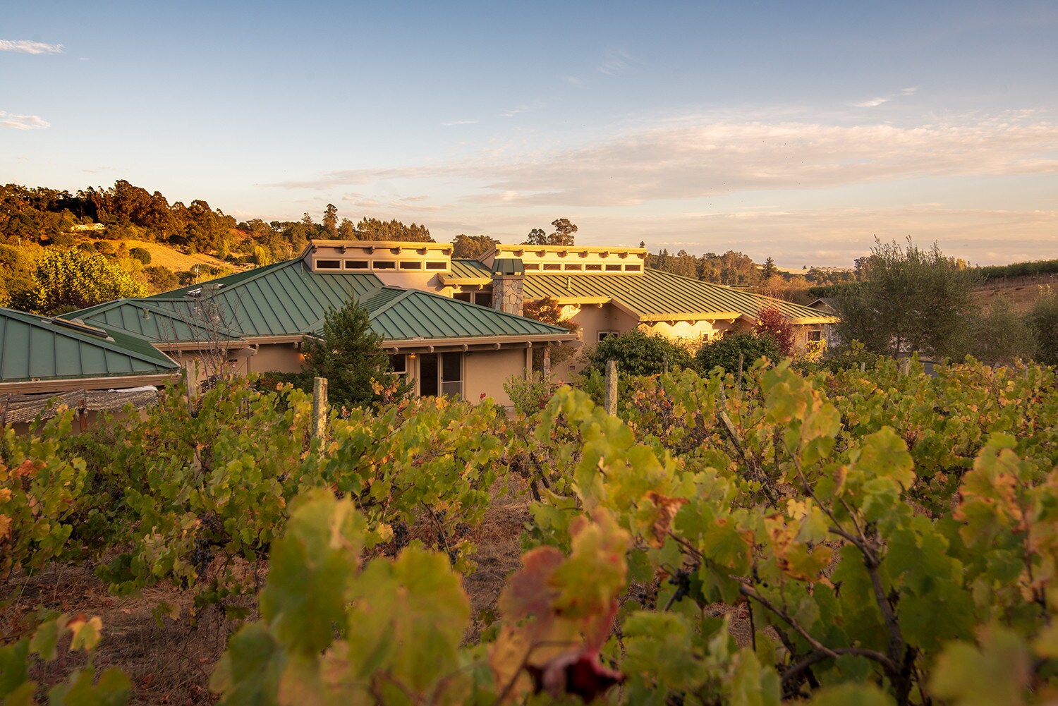 1483 Green Valley Rd, Watsonville, CA for sale Building Photo- Image 1 of 1