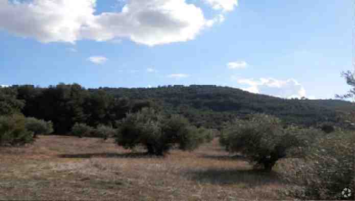 Land in Chiloeches, Guadalajara for sale - Building Photo - Image 2 of 3