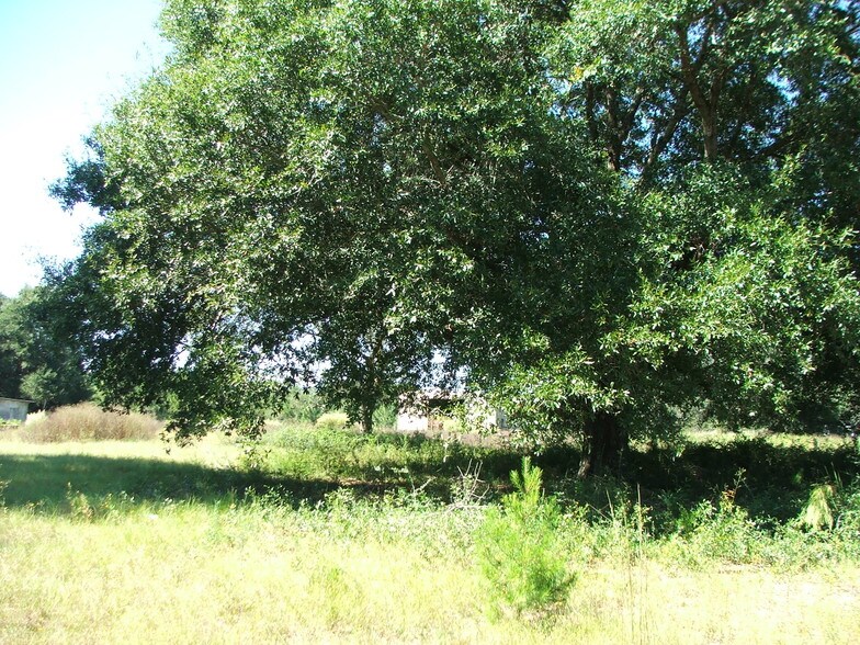 0 Earl Kennedy Rd, Crestview, FL for sale - Building Photo - Image 1 of 1