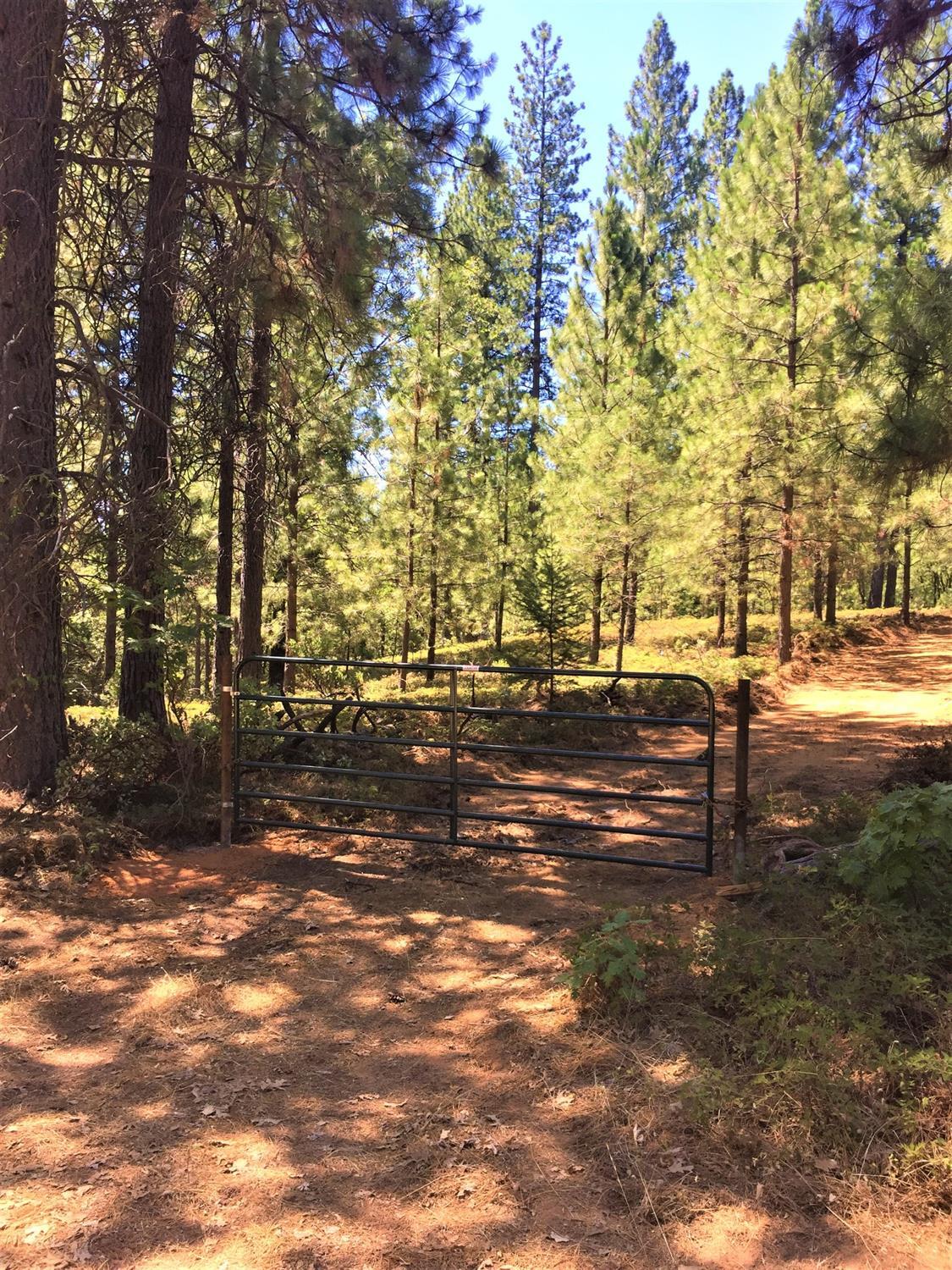 22210 Fiddletown Rd, Fiddletown, CA 95629 Take in the Splendor