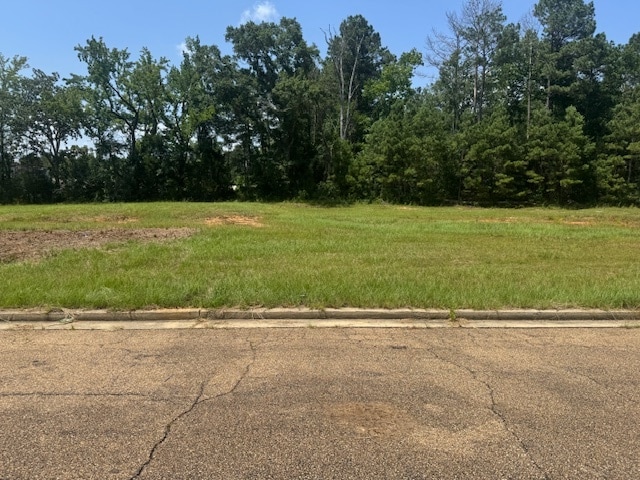 Parklane Rd, Mccomb, MS for sale - Building Photo - Image 2 of 4