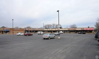 More details for 8100 W 111th St, Palos Hills, IL - Retail for Lease