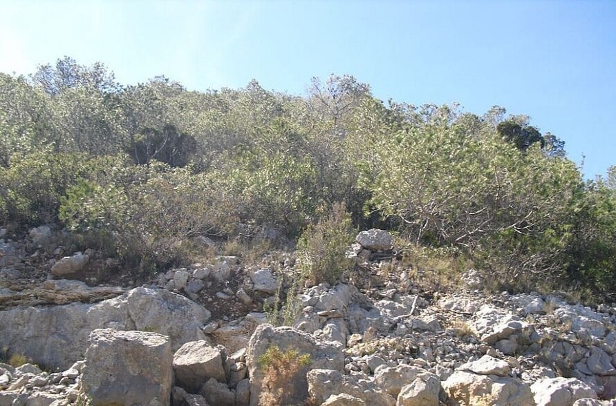 Carrer Isla Mancolibre, CASTELLÓN DE LA PLANA, Castellón for sale - Building Photo - Image 3 of 7